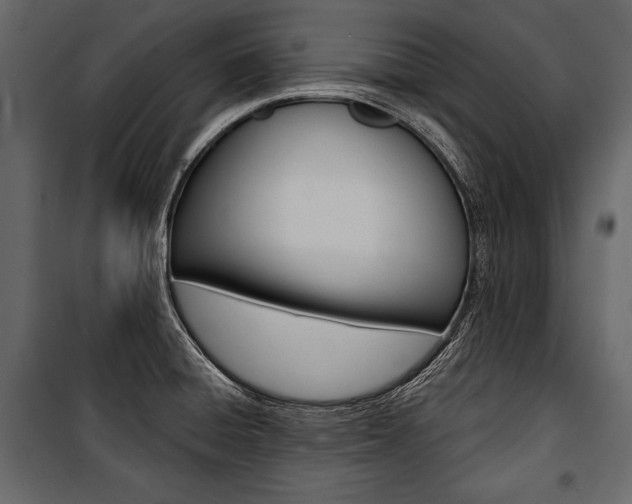 X0000100921428200806241102