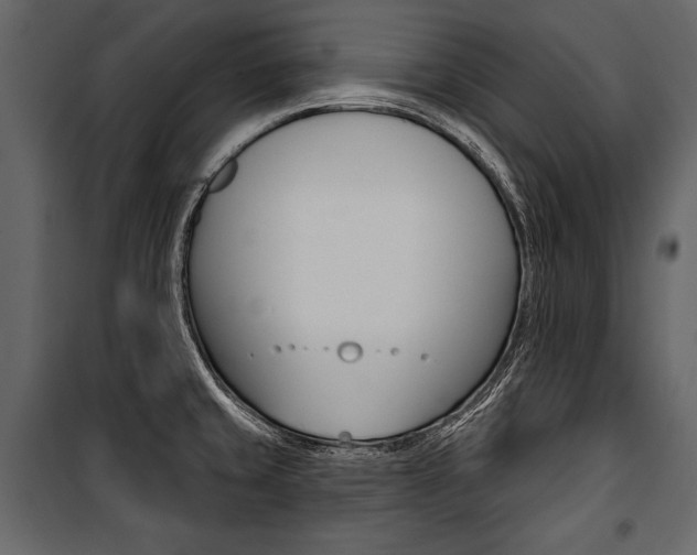 X0000100921429200806241102