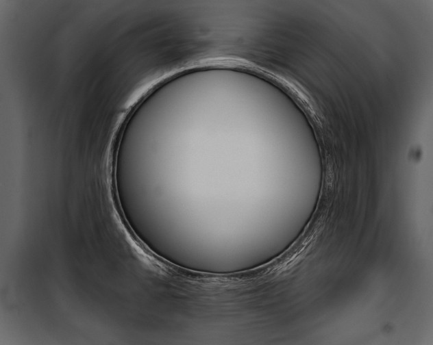 X0000100921430200806241102