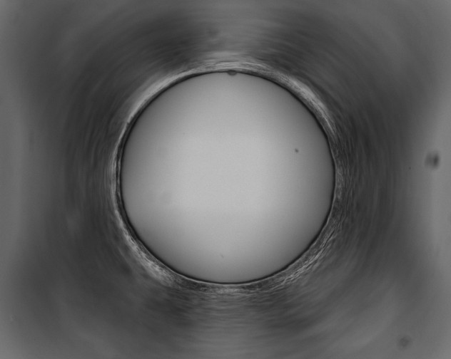 X0000100921431200806241102
