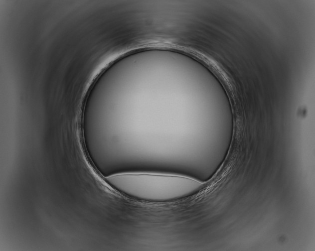 X0000100921432200806241102