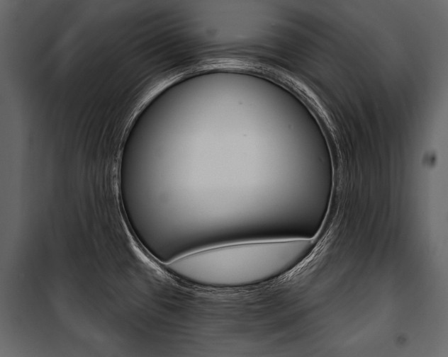 X0000100921433200806241102