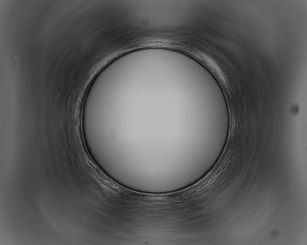 X0000100921435200806241102