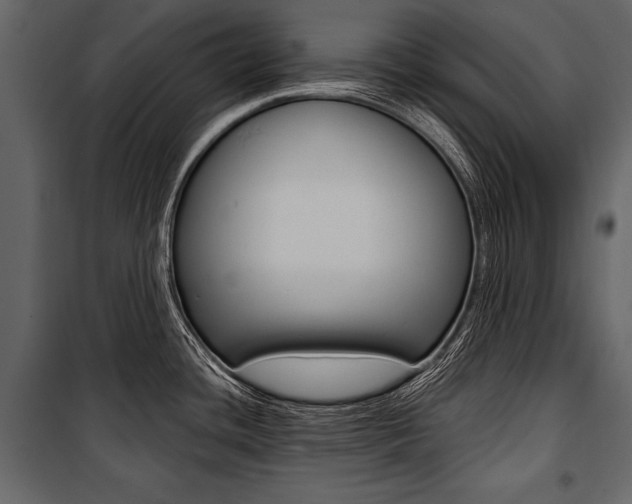X0000100921436200806241102