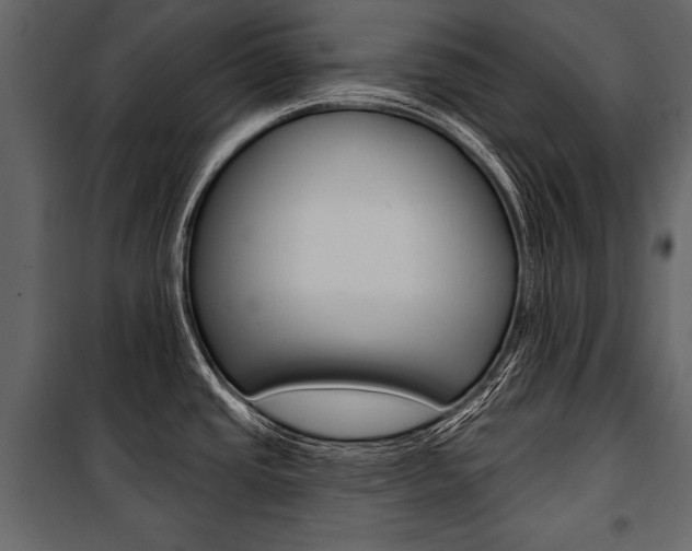 X0000100921437200806241102