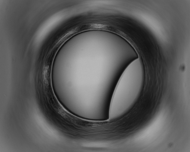 X0000100921438200806241102