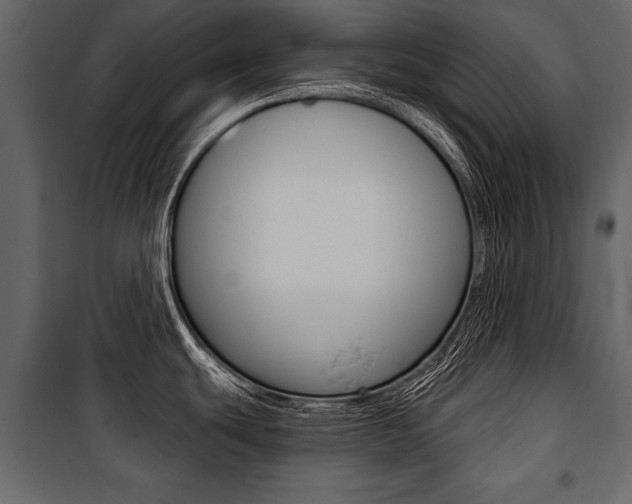 X0000100921439200806241103