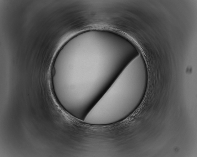 X0000100921440200806241103