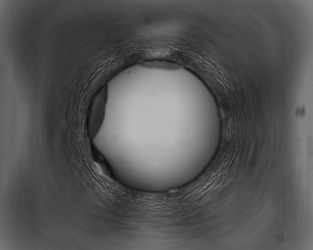 X0000100921441200806241102