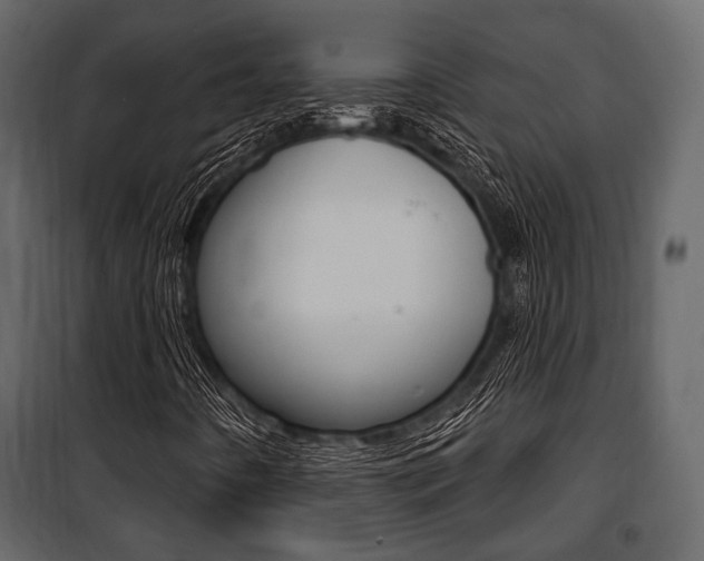 X0000100921442200806241102