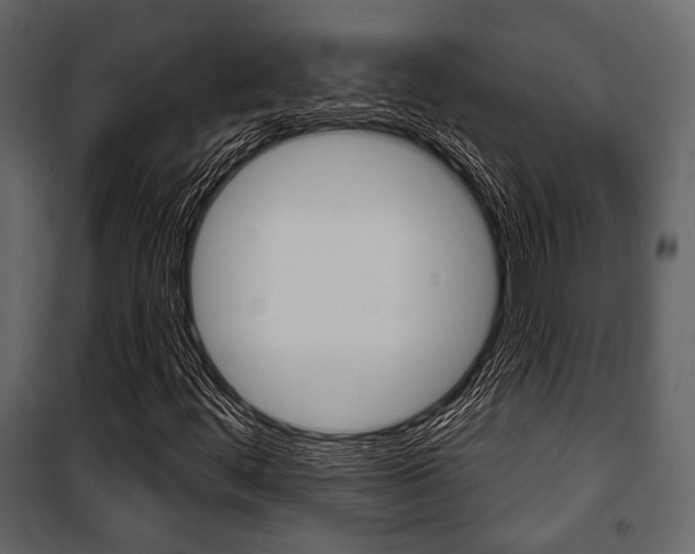 X0000100921444200806241102