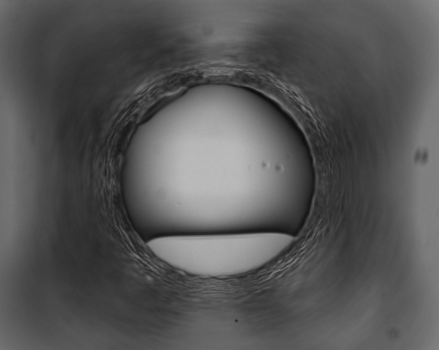 X0000100921445200806241102