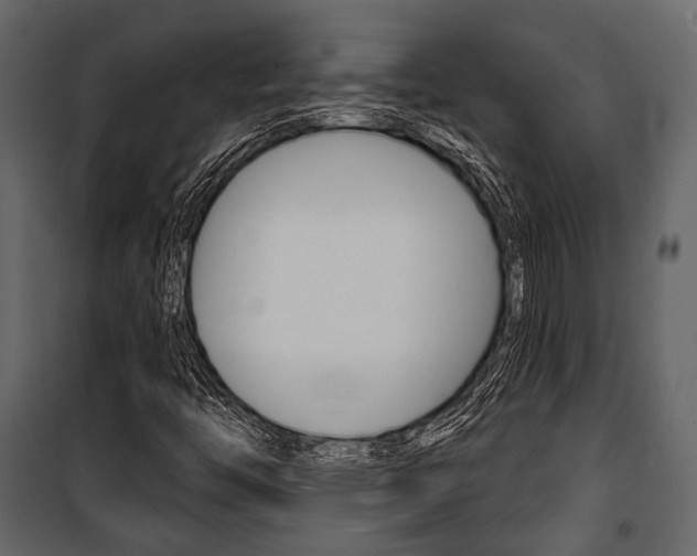 X0000100921446200806241102