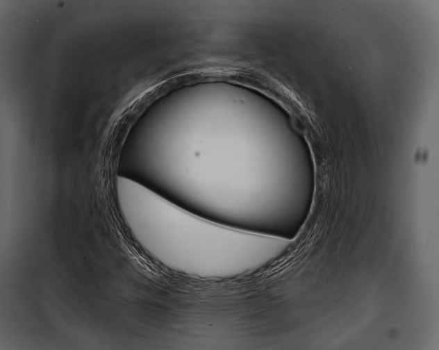 X0000100921448200806241102