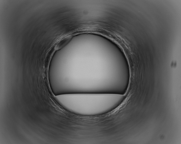 X0000100921449200806241102