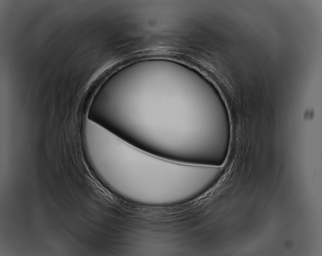 X0000100921450200806241102