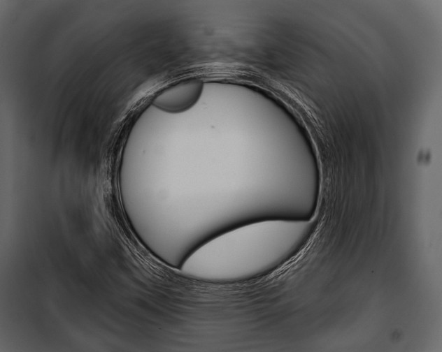 X0000100921451200806241102