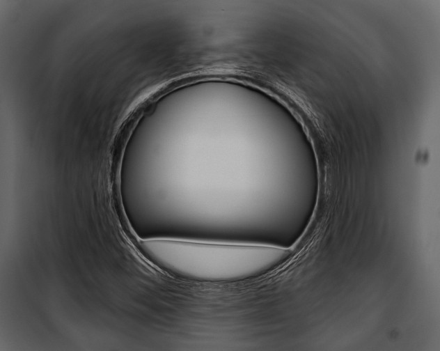 X0000100921452200806241102