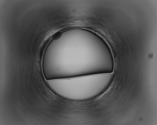 X0000100921453200806241102