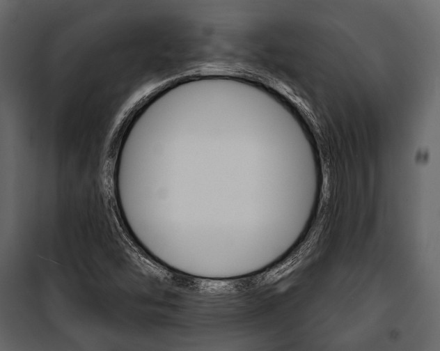 X0000100921454200806241102