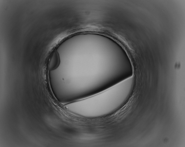 X0000100921455200806241102