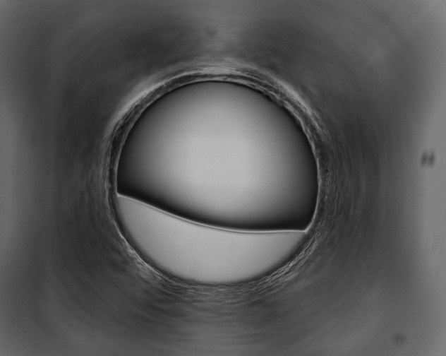 X0000100921456200806241102