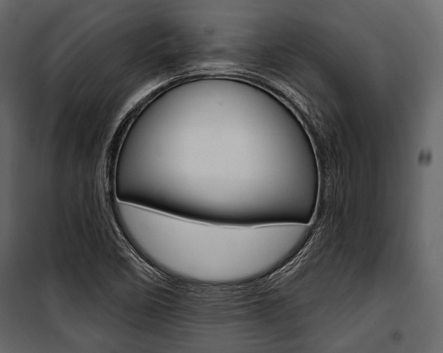 X0000100921458200806241102