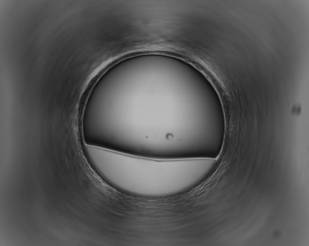 X0000100921460200806241102