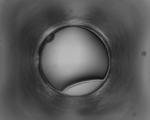 X0000100921461200806241102