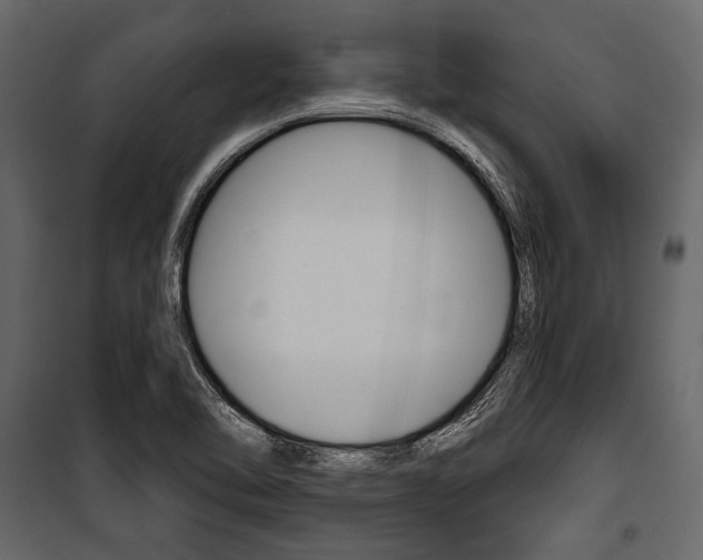 X0000100921462200806241102