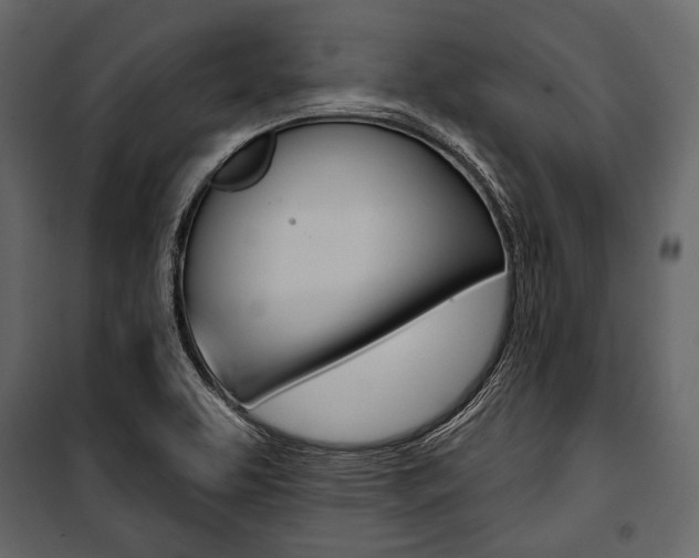 X0000100921463200806241102