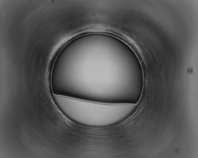 X0000100921464200806241102