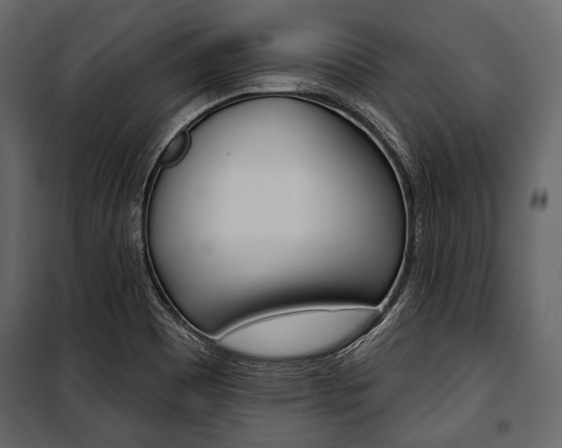 X0000100921465200806241101