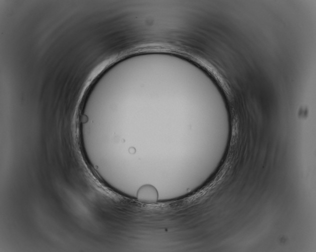 X0000100921466200806241101