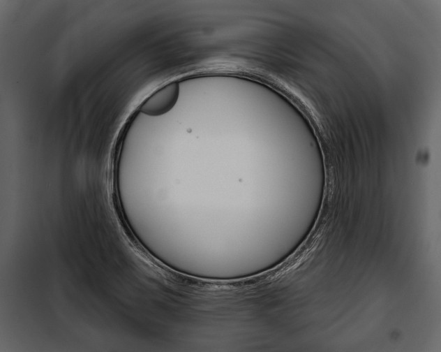 X0000100921467200806241101