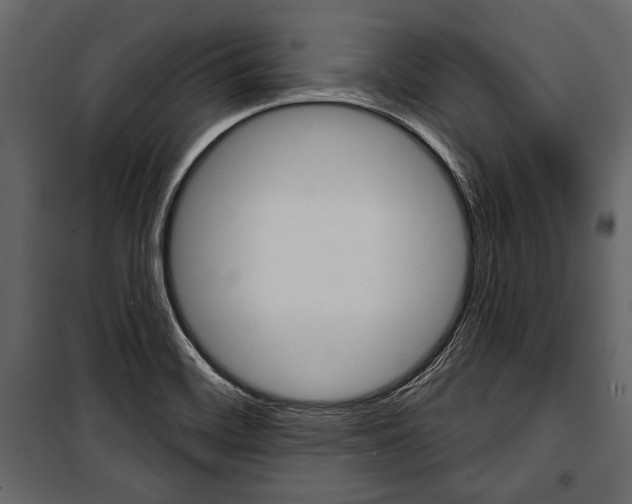 X0000100921468200806241101