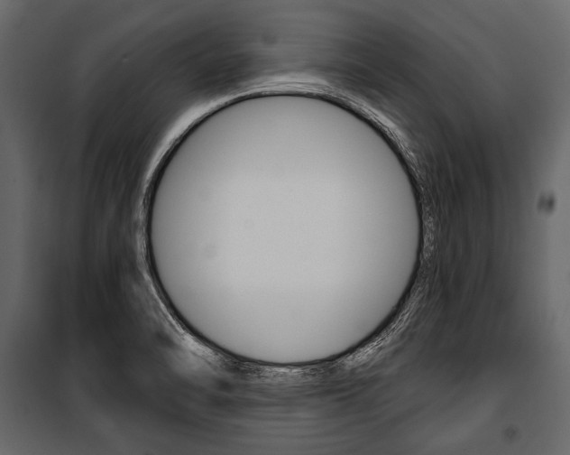 X0000100921470200806241101