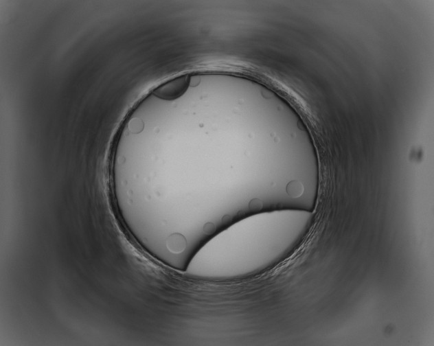 X0000100921471200806241101