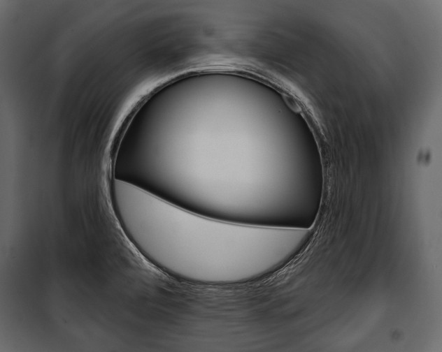 X0000100921472200806241101