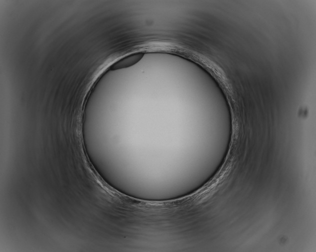 X0000100921473200806241101