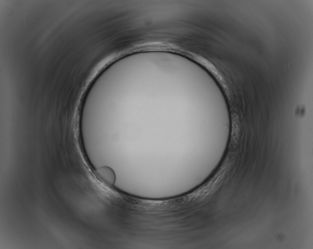 X0000100921474200806241101