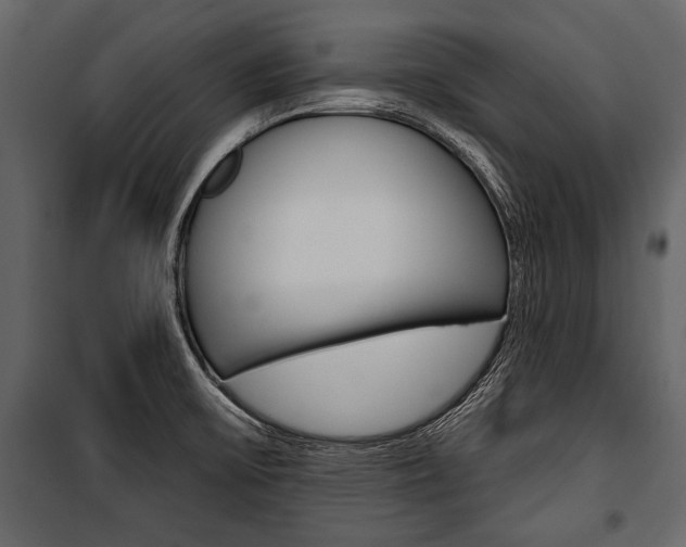 X0000100921475200806241101