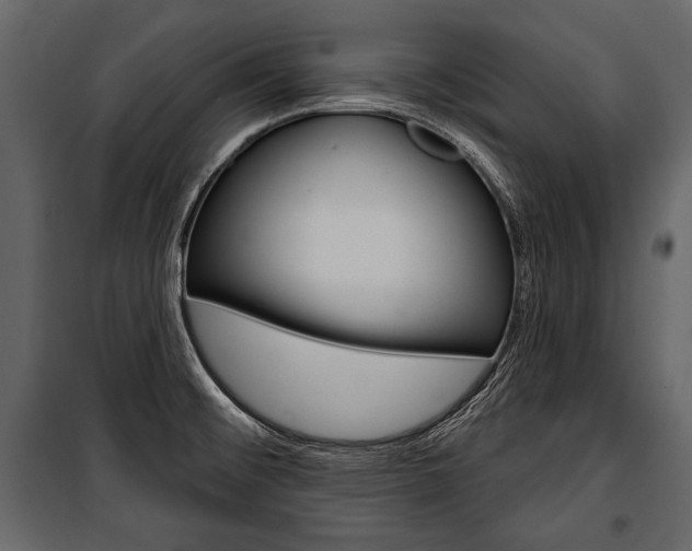 X0000100921476200806241101