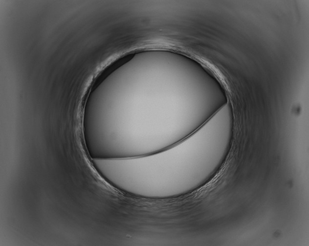 X0000100921477200806241101