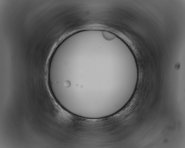 X0000100921478200806241101