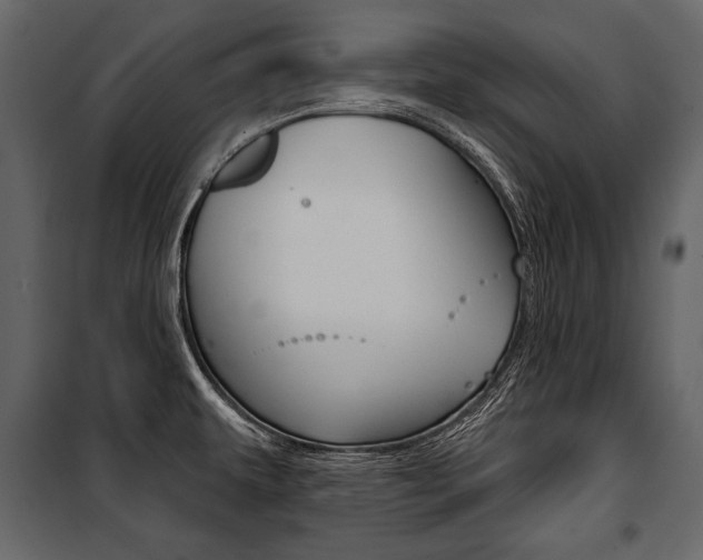 X0000100921479200806241101