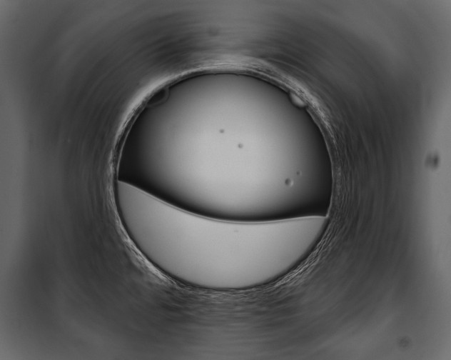 X0000100921480200806241101