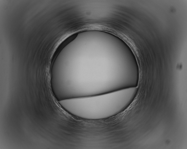 X0000100921481200806241101