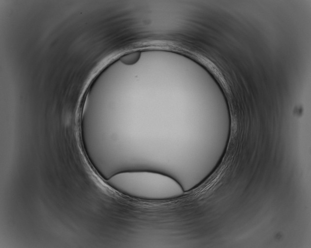 X0000100921482200806241101