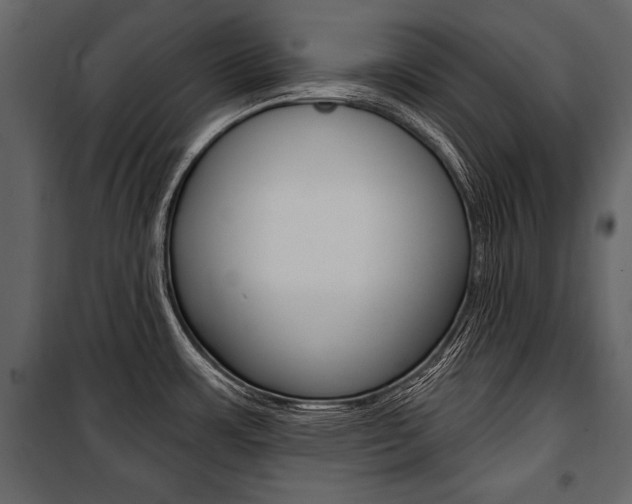 X0000100921483200806241101